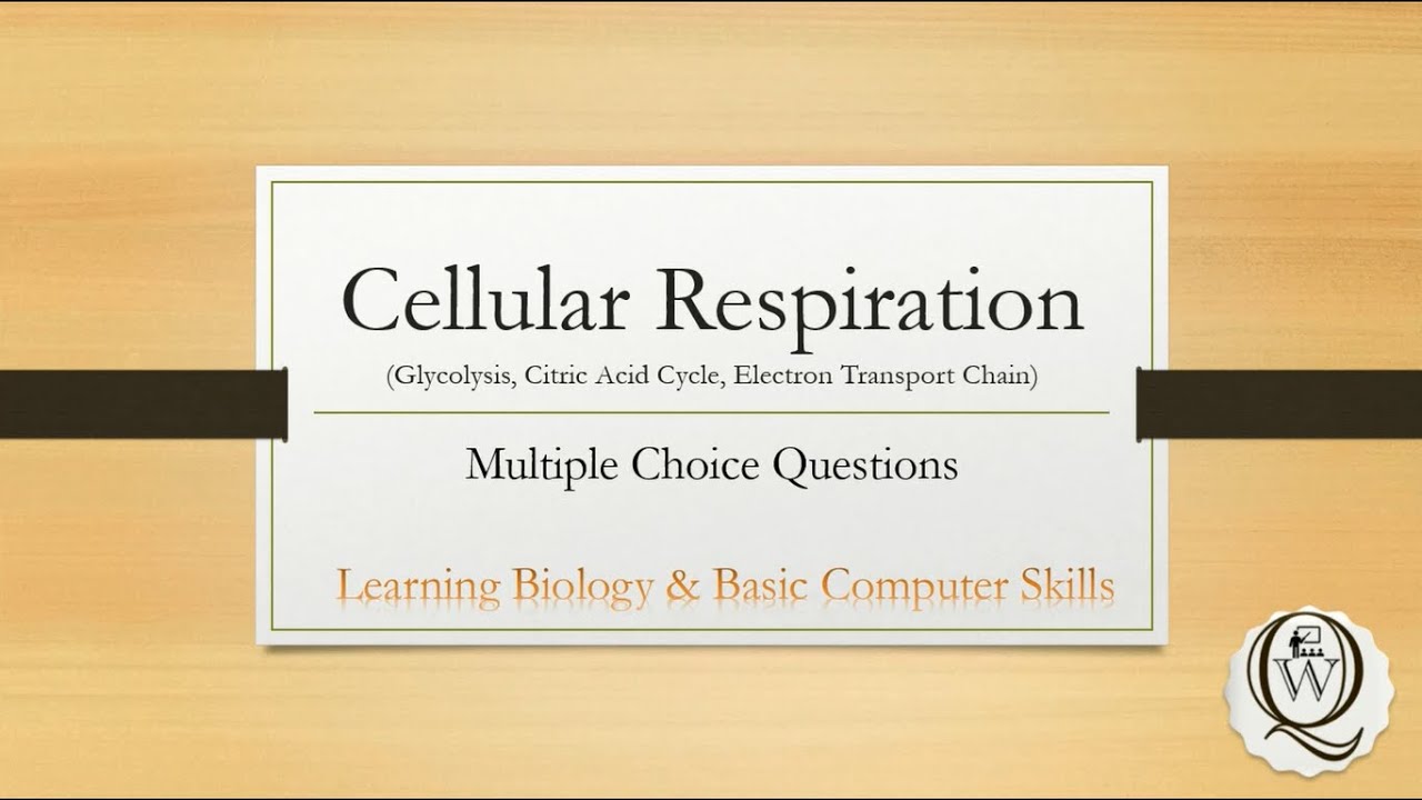 Cellular Respiration | Multiple Choice Questions | Solved | Inter Level