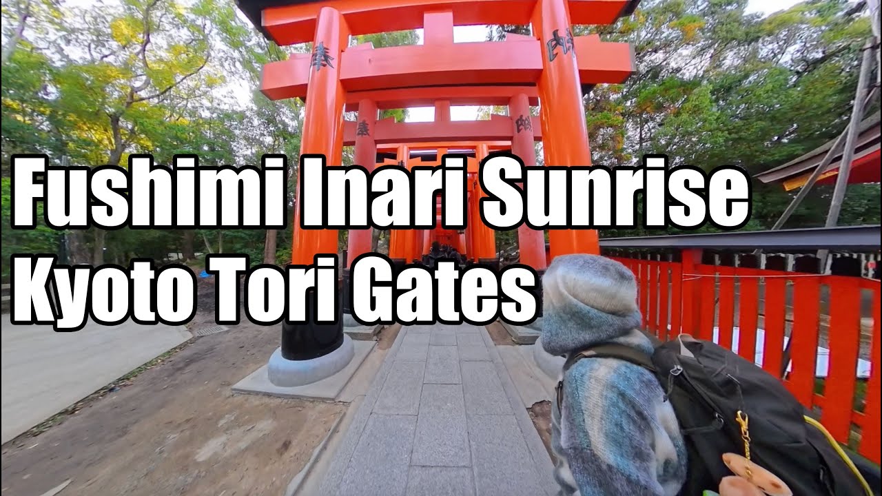 Magical Sunrise and Bird Songs at Kyoto's Torii Gate Park - Fushimi Inari Shrine - Japan