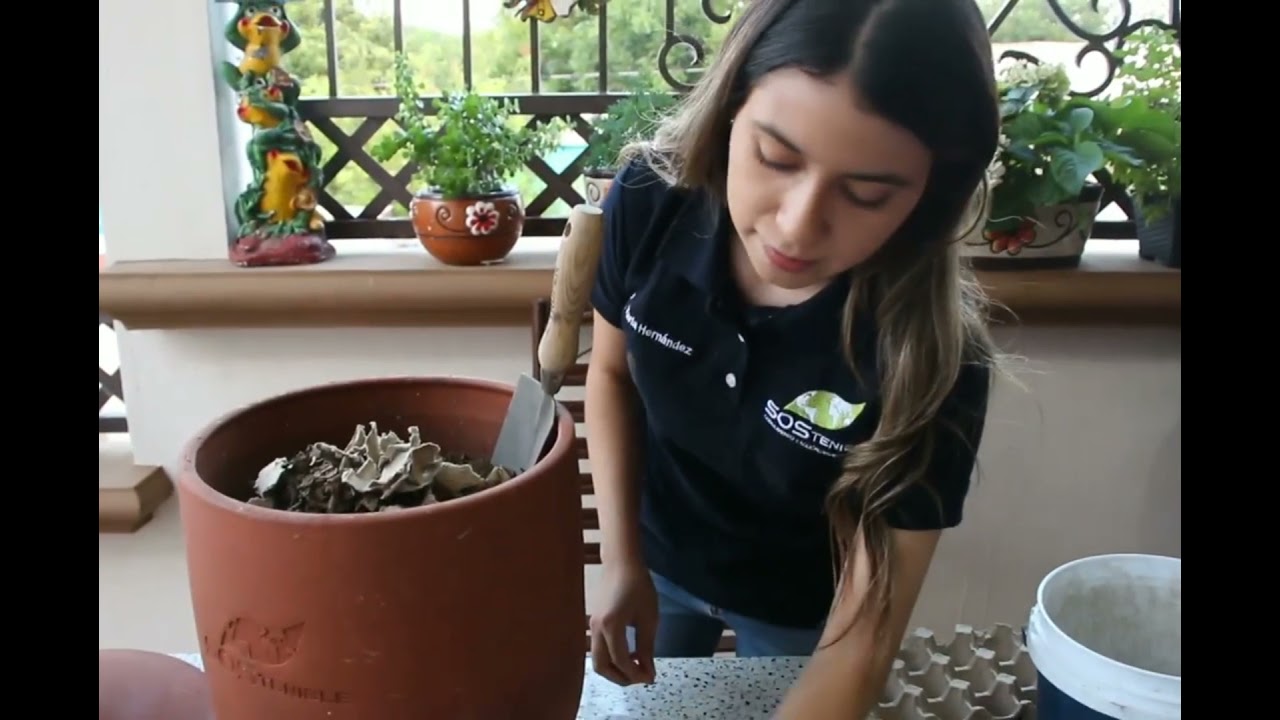 Compostaje dom&eacute;stico