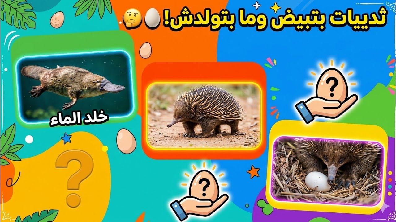 ثدييات بتبيض؟! 😱 حقيقي ولا خيال؟ أغرب حيوانات على وجه الأرض… بتبيض زي الطيور! 😱