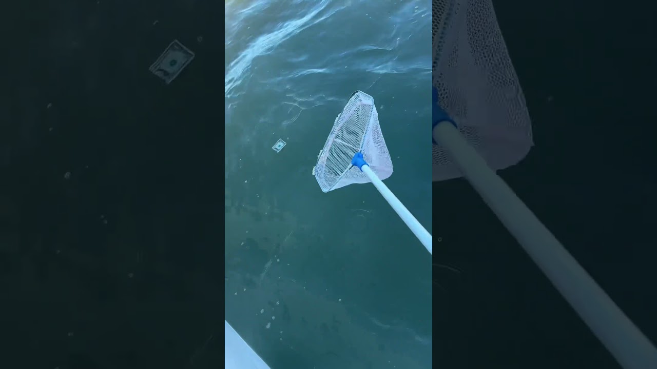 We found 301$ floating on the water #cash #money