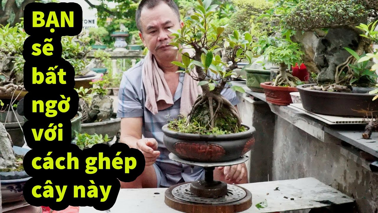 ĐÔC LẠ  - Chưa Một Ai Làm Cái Điều  KỲ LẠ  Này Nhưng THẮNG GIÒ Đã Khiến Chúng Ta  BẤT NGỜ quá HAY