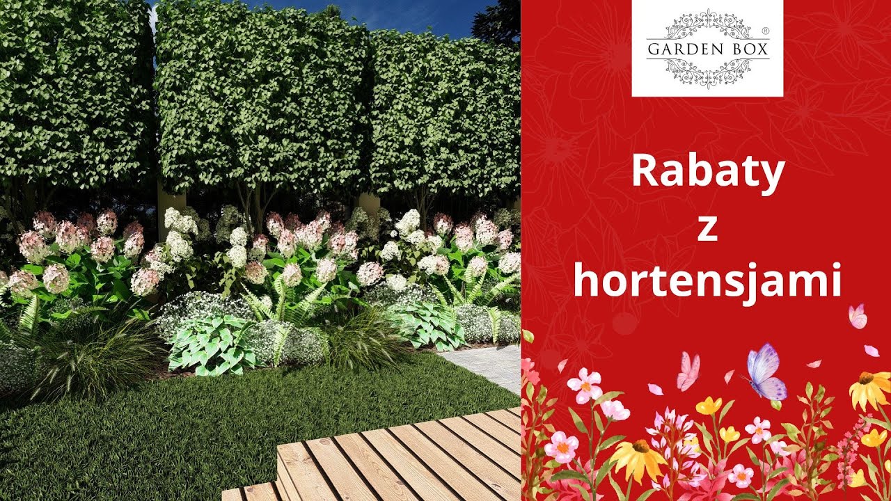 Rabaty z hortensjami