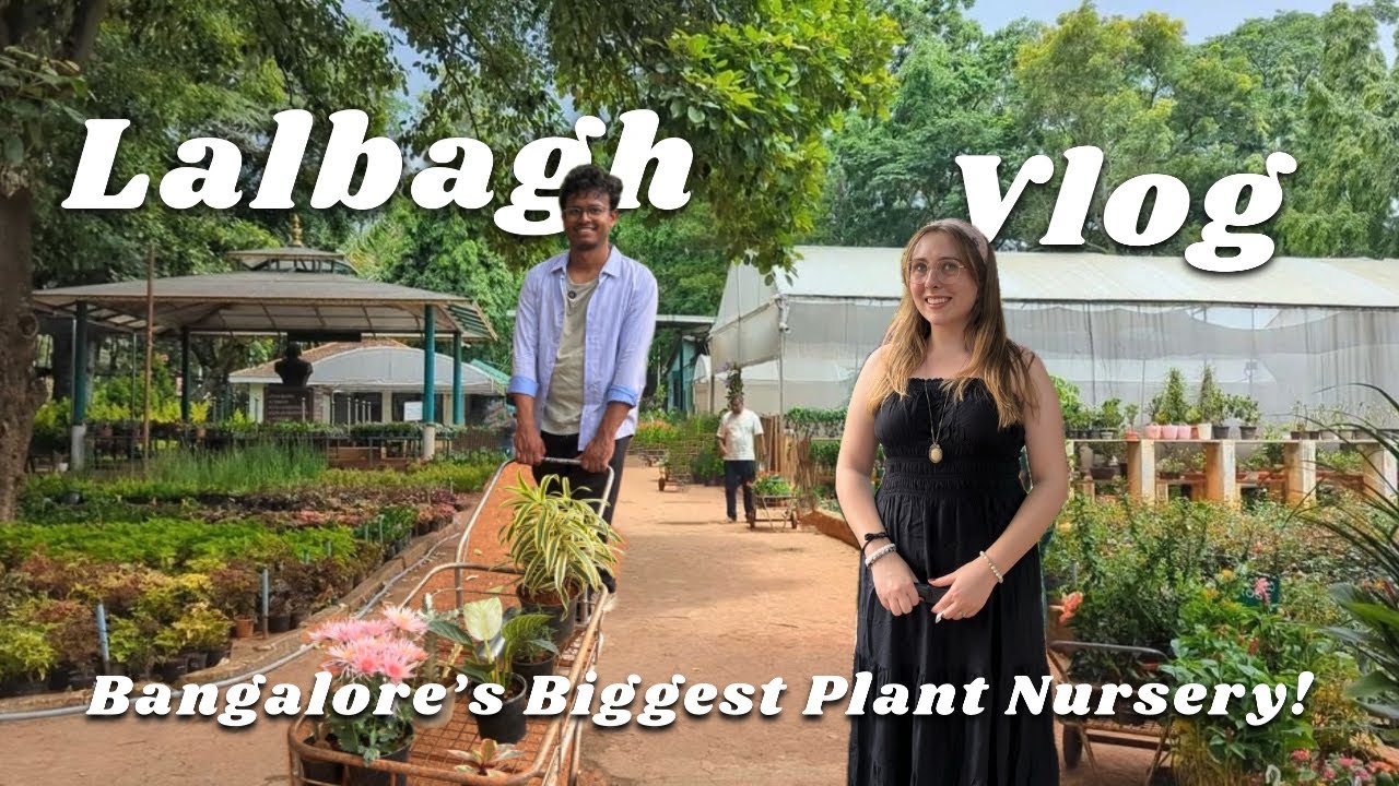 Best Plant Shopping in Bangalore | Lalbagh Botanical Garden