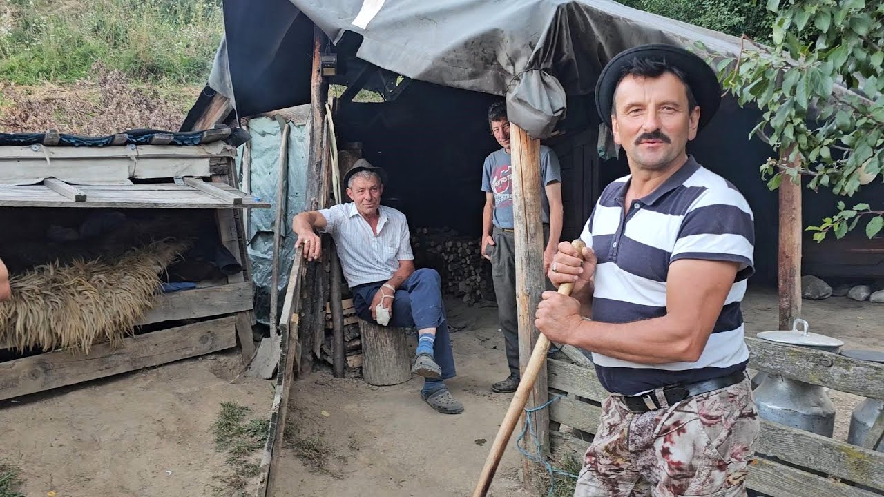 STÂNA TRADIȚIONALĂ A LUI ION BĂLAU,UN OM GOSPODAR SI OSPITALIER. MANCAM BULZ CIOBANESC.