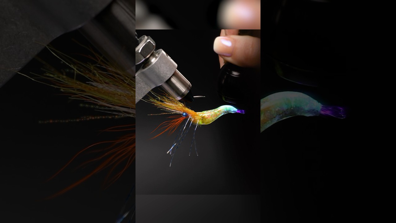 Magic Shrimp: Fly Tying ASMR #shorts