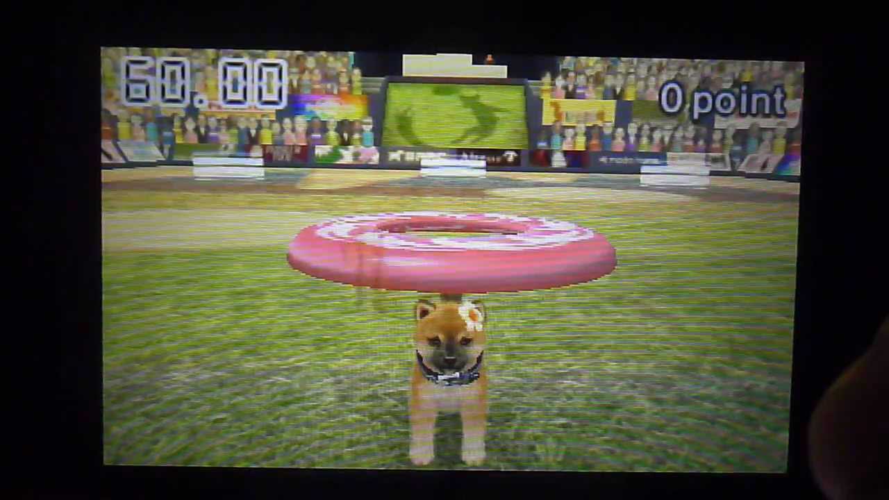 Nintendogs+cats: Les concours