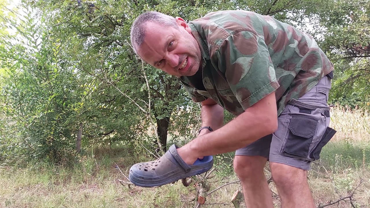 Betegeskedő szilvafa metszése Fuxtec  FX-KS162 -vel kerti papucsban | 4K!!! 2021-09-02