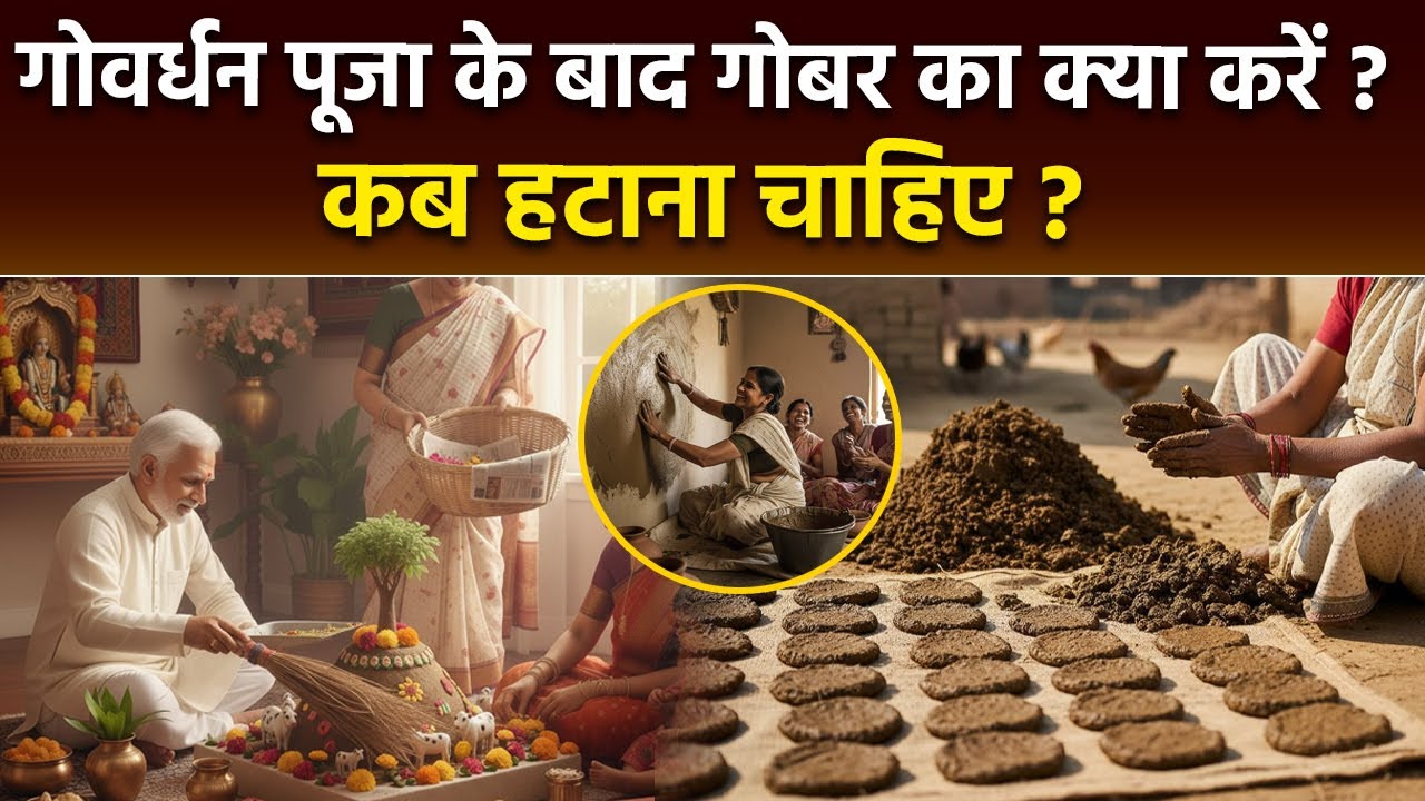 Govardhan Puja 2025: गोवर्धन पूजा के बाद गोबर क्या करें,कब हटाना चाहिए,साफ कैसे करें |Boldsky