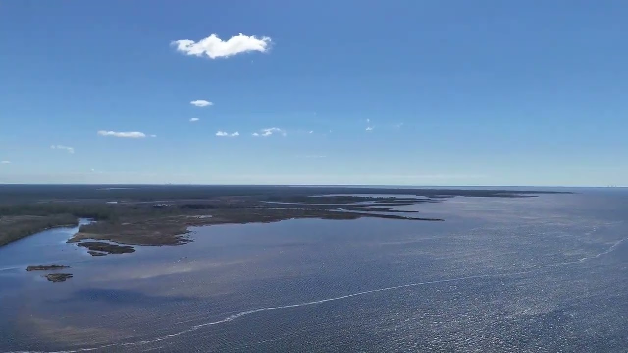blackwater bay tours
