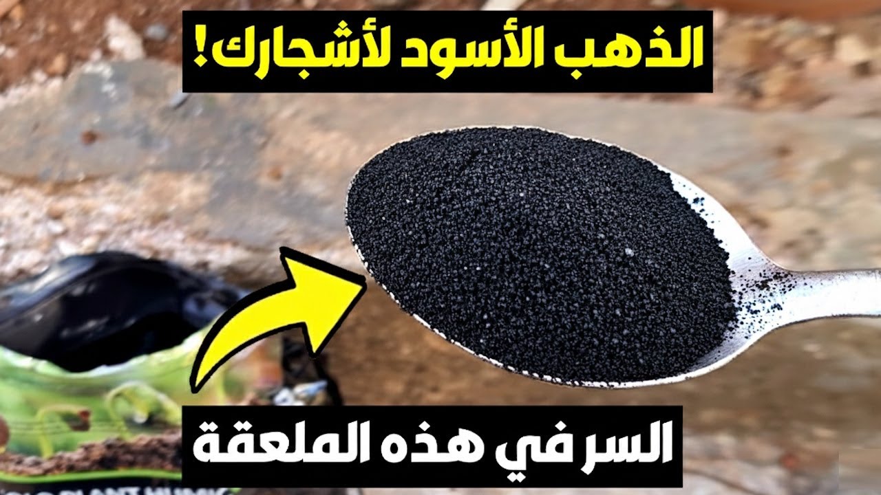 السر الذي لا يخبرك به أحد عن الهيوميك أسيد: سيضاعف إنتاج أشجارك ويصلح تربتك للأبد!