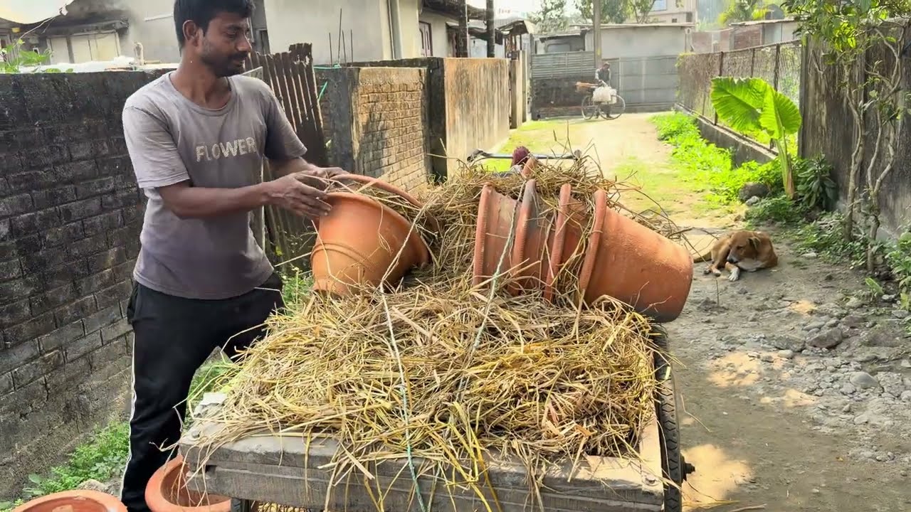 ফলের বাজারে গেলাম 🍊 | bought orange and papaya 🍊 | ফুচকা খেলাম | 