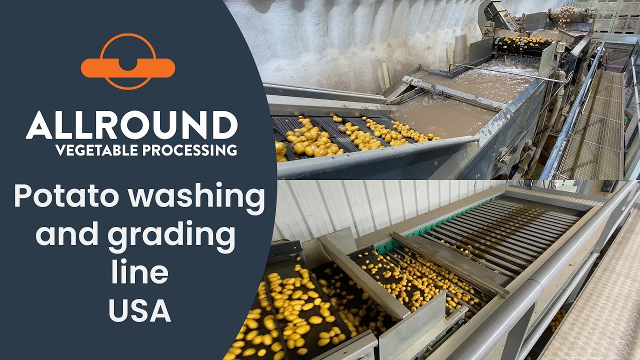 Potato washing and grading line | USA | POT | Allround Vegetable Processing
