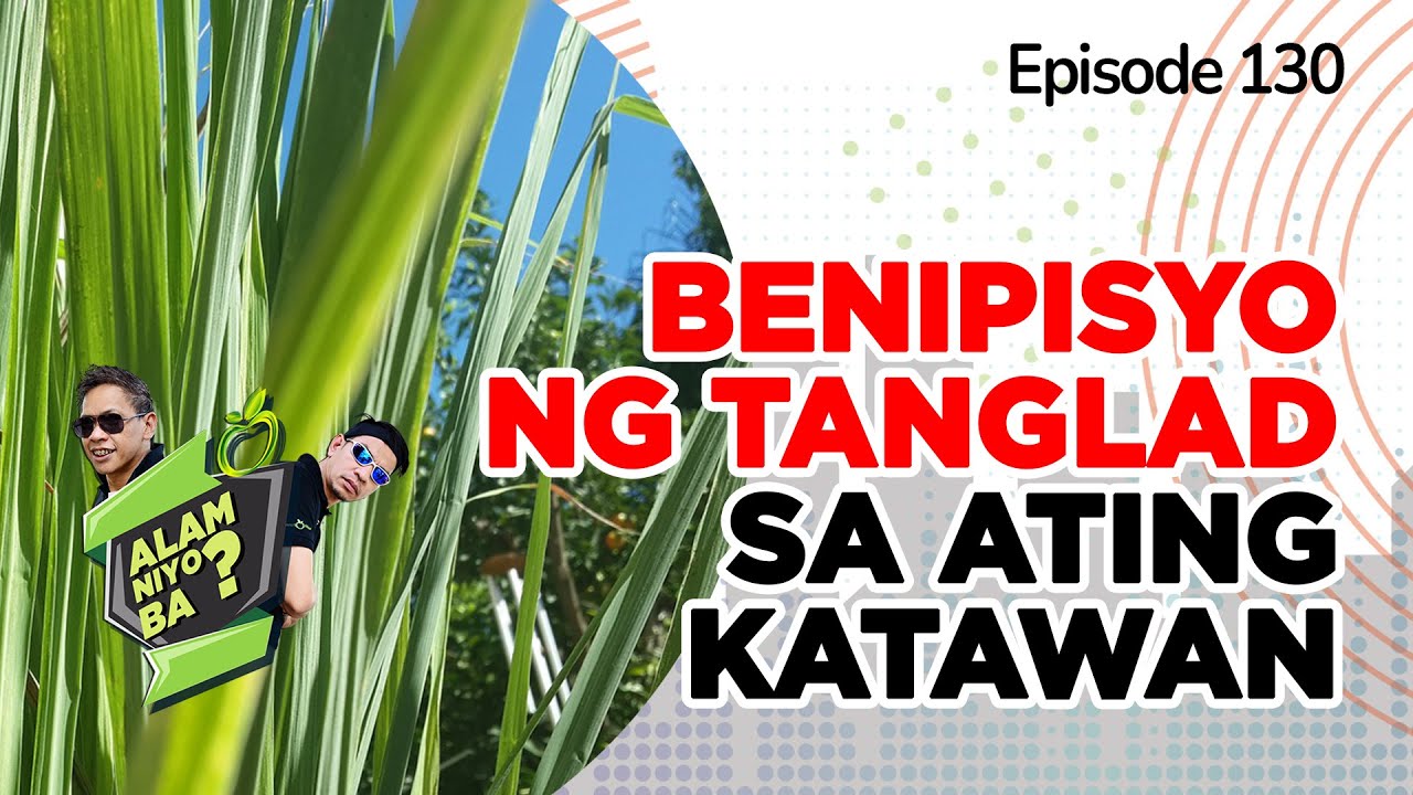 Alam Niyo Ba? Episode 130 |  Benefits of Lemon Grass (Tanglad)