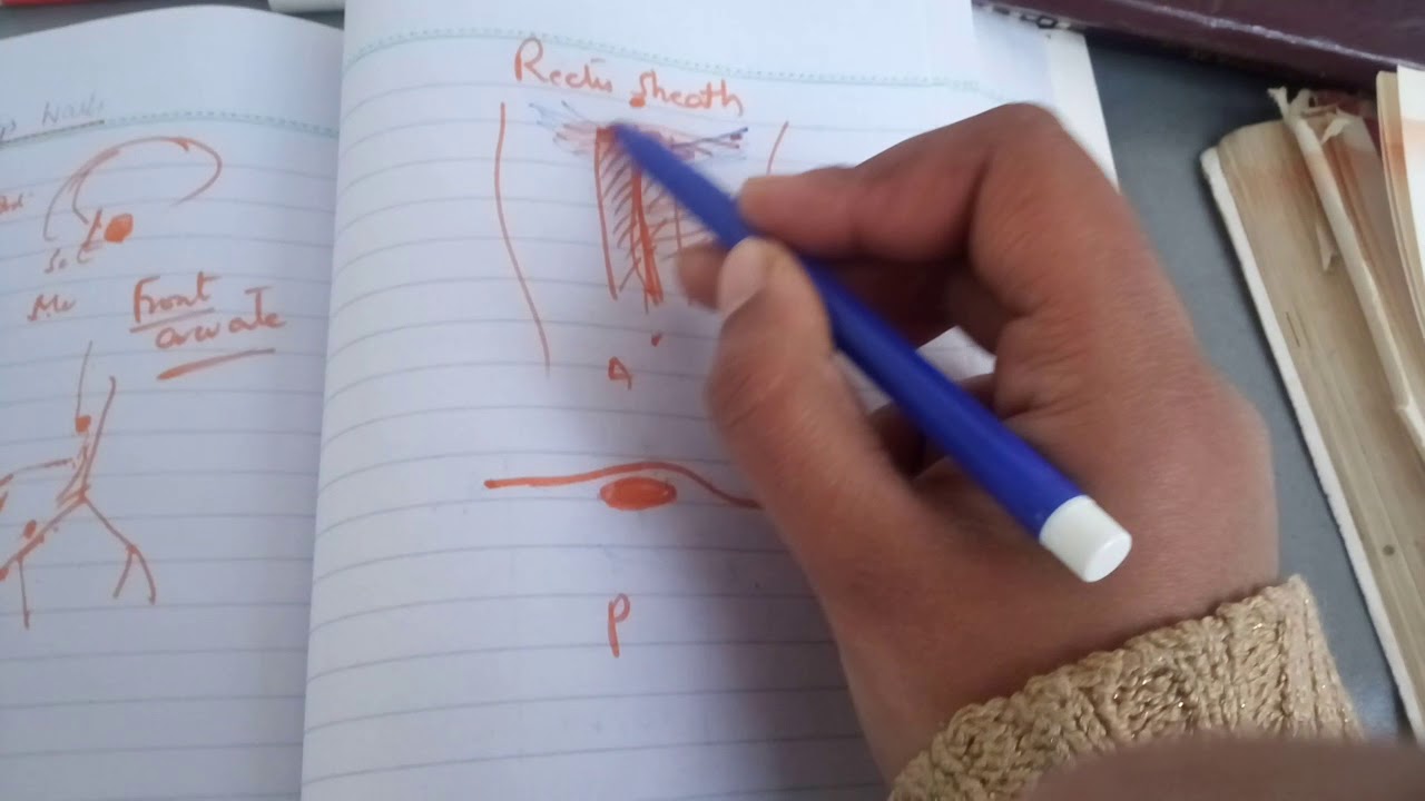 very IMPORTANT RECTUS SHEATH in simple way