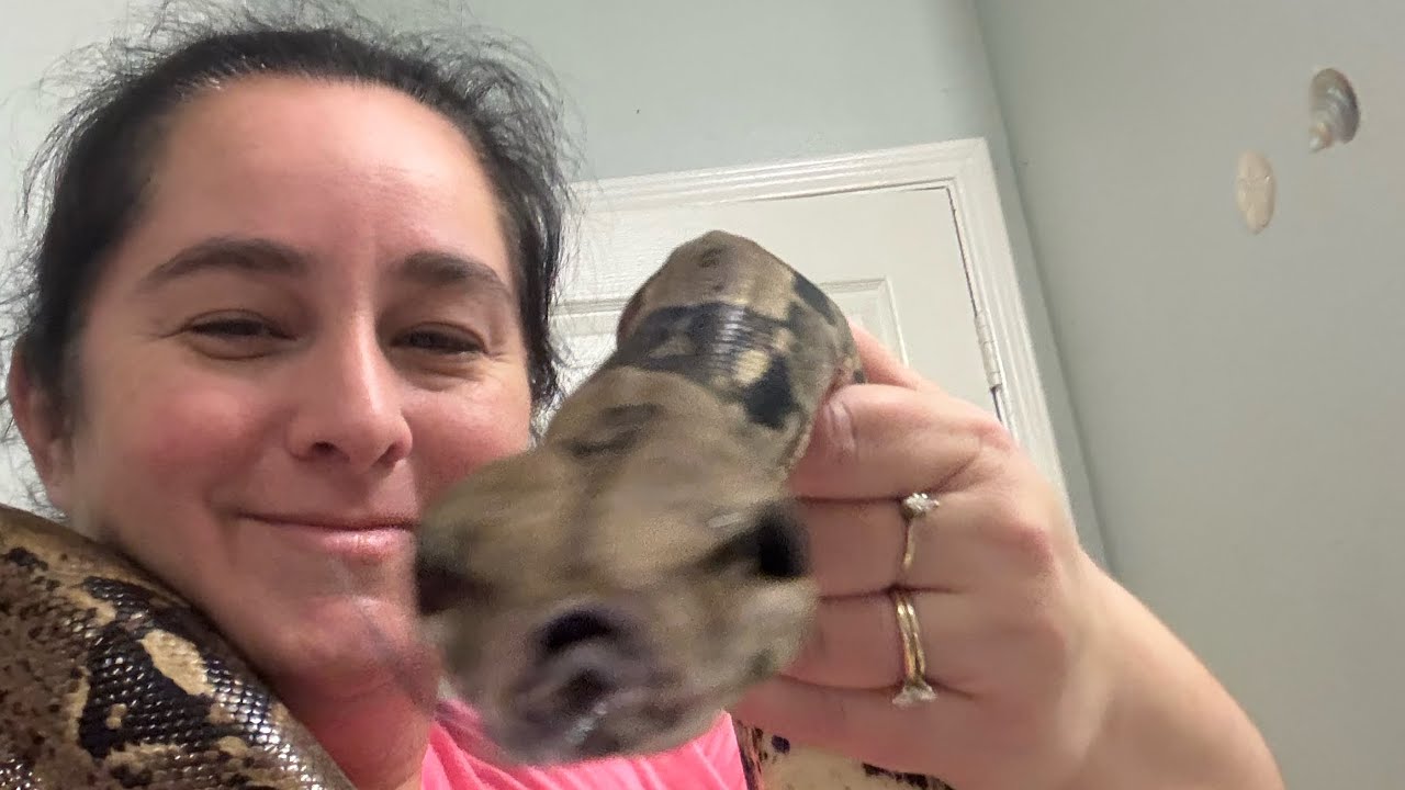 “Daily vlog 12”!#snake #reptiles #nature #pets #cuteanimal #love #cute #2026 