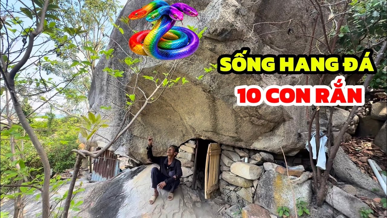 Sống hang đá 20 năm với 10 con RẮN ĐẦY MÀU SẮC, Trong hang như một cái MÁY LẠNH