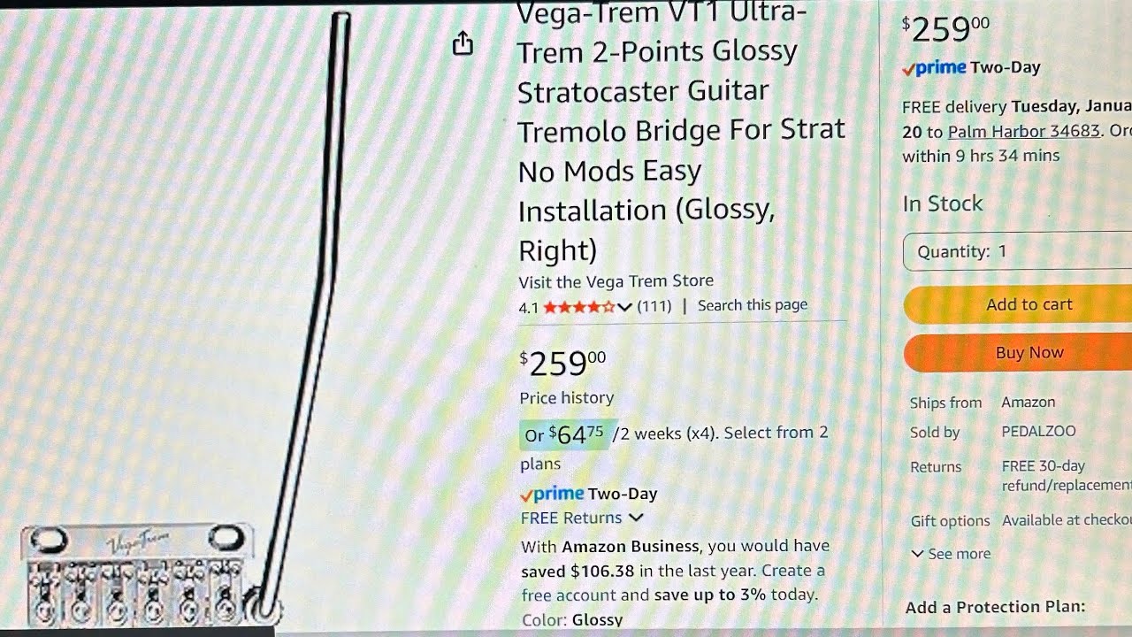 PT1. Vega Trem from Amazon what you need to know!  Is it a Hero or a Zero? 