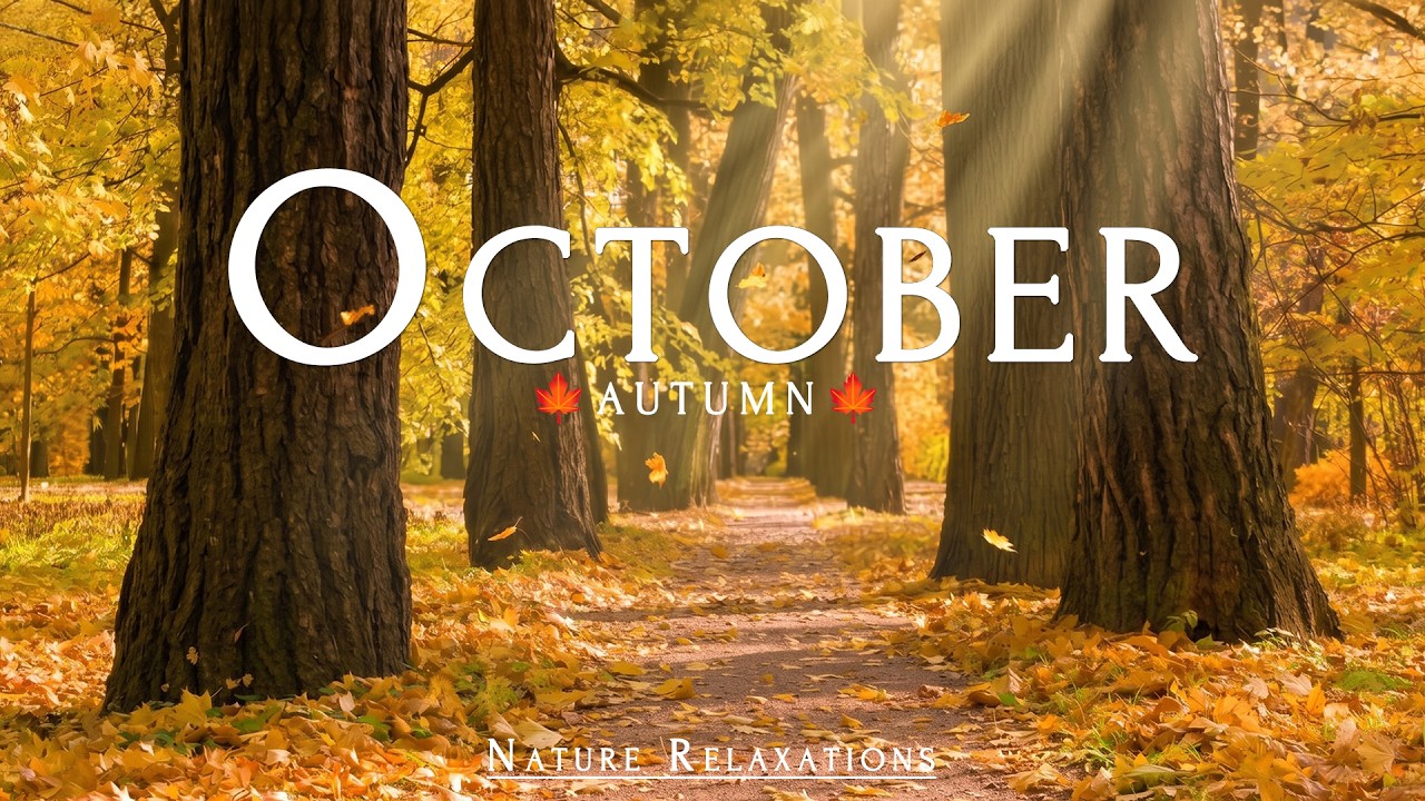 October 4K 🍂 Enchanted Autumn | Crimson Forests & Breathtaking Golden Landscapes