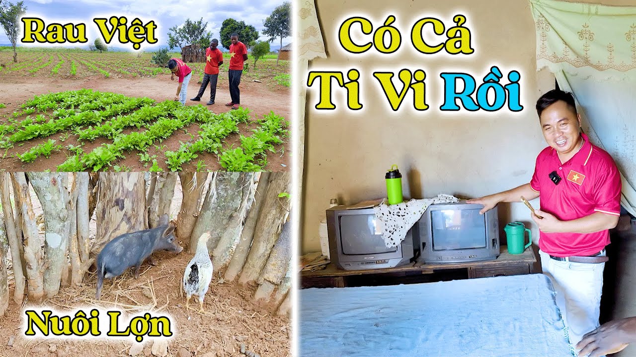 Đông Paulo || Nhà Em Có Những 2 Chiếc Ti Vi Cơ À! Cả Bản Em Thư Ký Trở Thành Nông Trường Khủng!