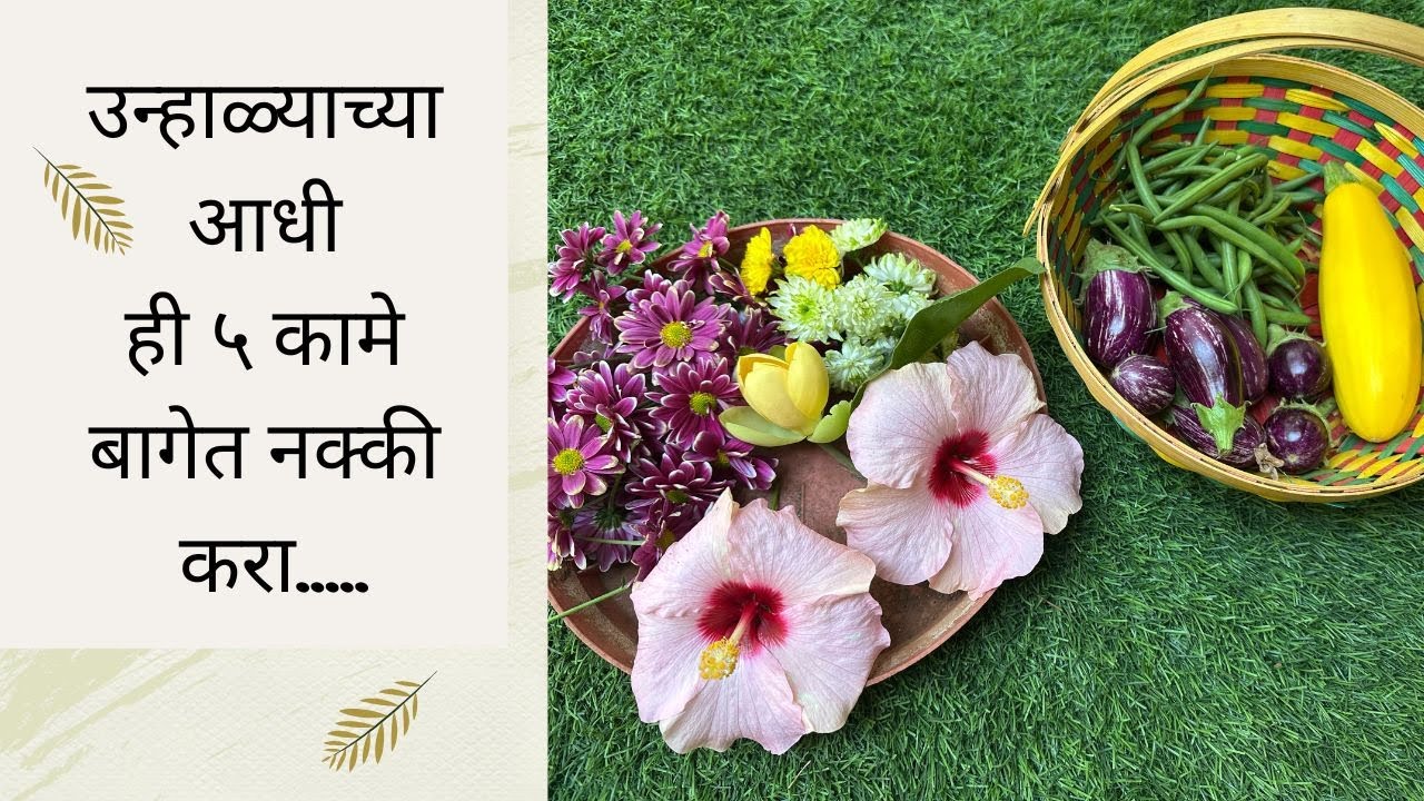Preparing garden for summer| उन्हाळा सुरु होण्याआधी करायची बागेतील कामे