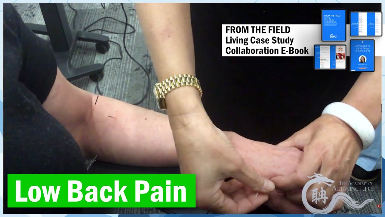 Low Back Pain #EileenHan #balancemethodacupuncture #theacademyofacupuncture #譚針 #韓玉齡 #懷聃