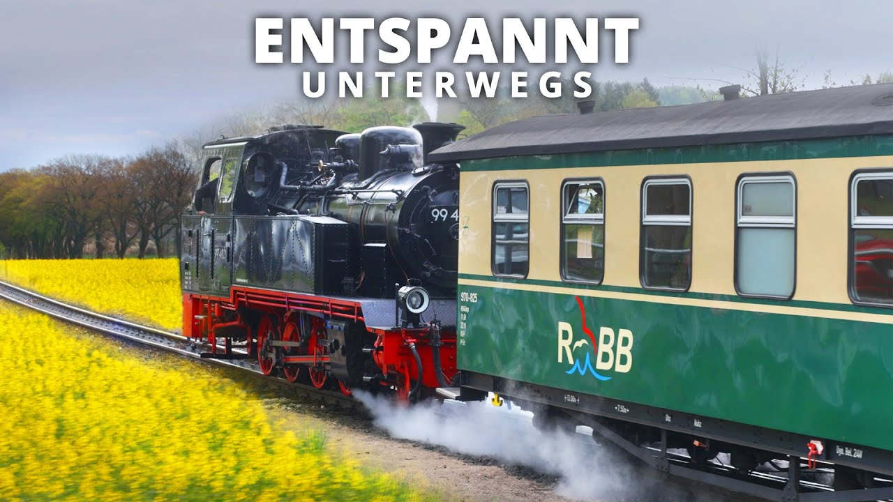 Mit dem Rasenden Roland durch die Rapsfelder auf Rügen