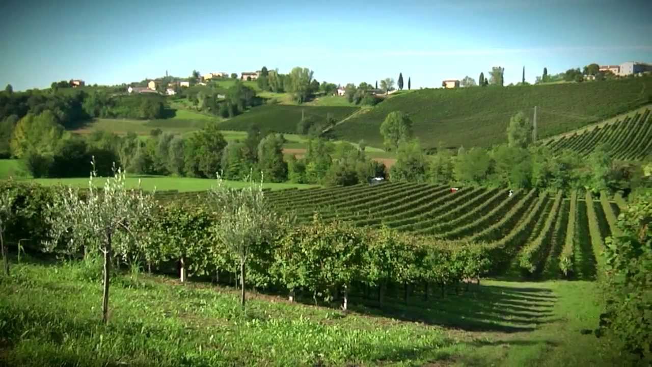 Prosecco Superiore di Conegliano e Valdobbiadebe