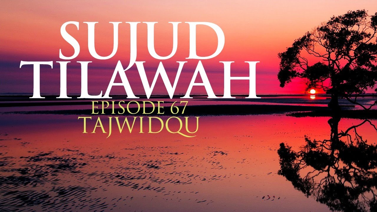 SUJUD TILAWAH Episode 67 TajwidQu