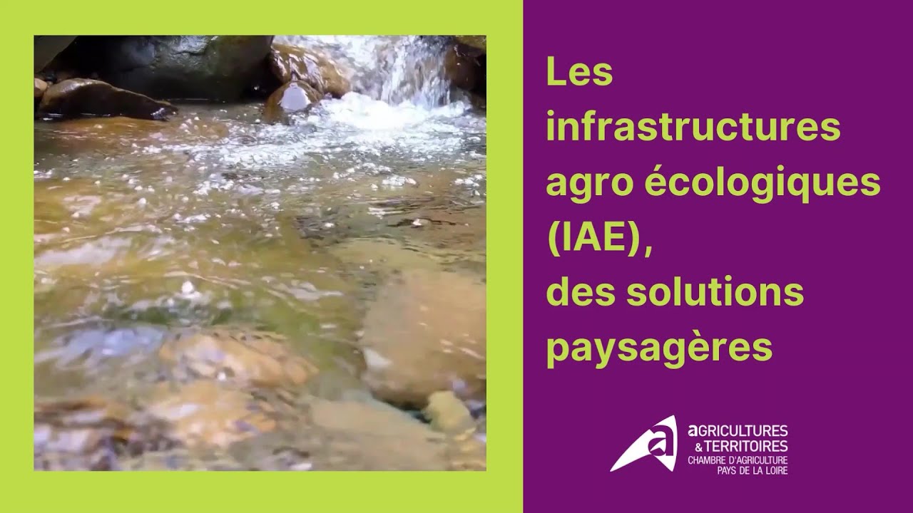 Les infrastructures agro écologiques et la qualité de l’eau - Limiter les transferts de polluants
