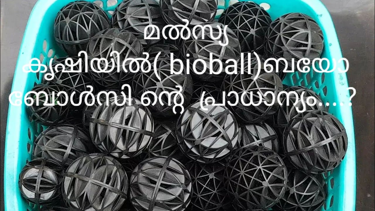 Importance of bioballs  and ceramic ring in fish farming ..?