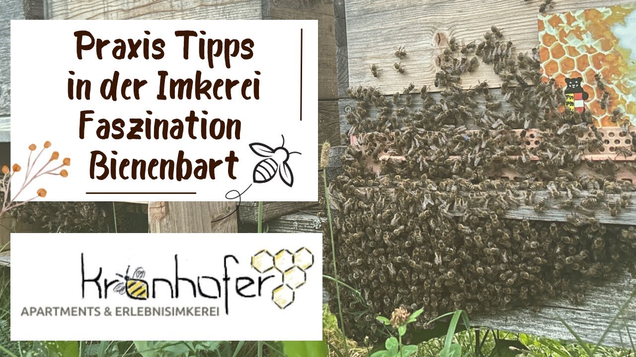 23. Praxis Tipps: Faszination „Bienenbart“