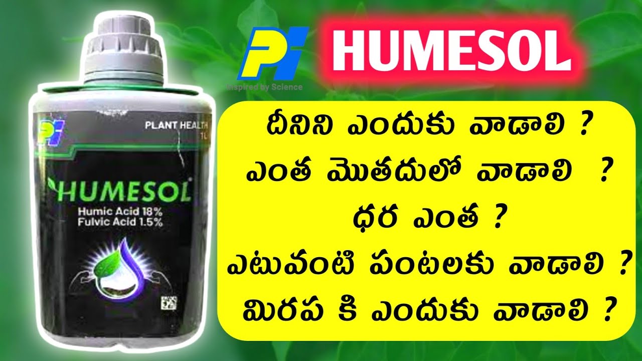 Pi Humesol Details Explain in Telugu / Humic acid, Fulvic acid / Humesol pgp / Chilli crop / Humesol