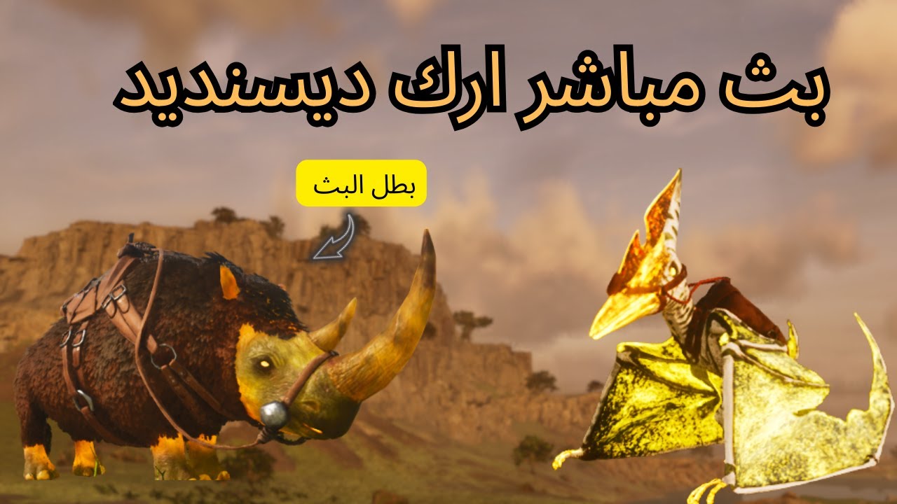 بث ارك ديسنديد حياكم