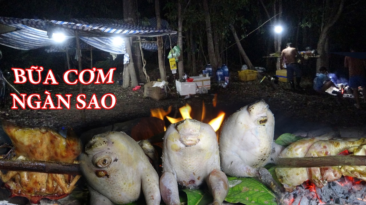 Săn Bắt G&agrave; Rừng Hoang D&atilde;, Nằm Ngủ Giữa Rừng S&acirc;u | Thế N&agrave;o?