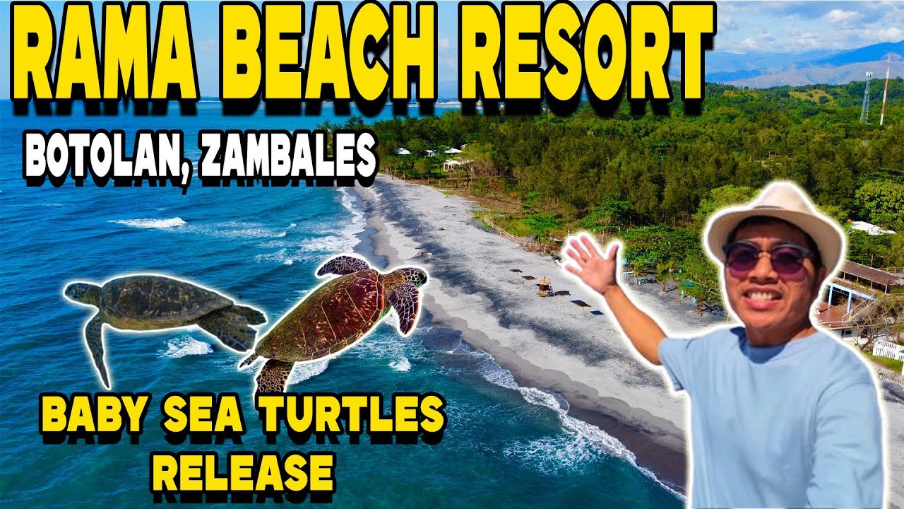 RAMA BEACH RESORT ZAMBALES Philippines Adventure - First time to Witness | Baby Sea Turtle Release