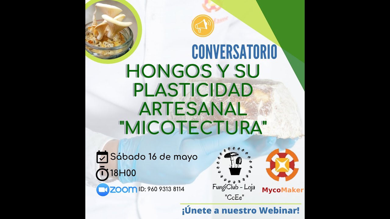 Hongos y su Plasticidad Artesanal 