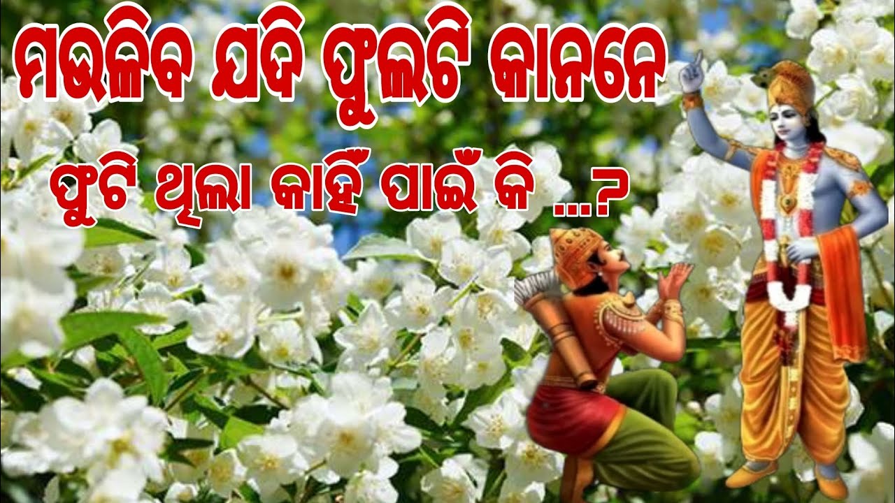 ମଉଳିବ ଯଦି ଫୁଲଟି କାନନେ। Heart touching song । Ira mohanty । Odia Bhajan । ଭଜନ