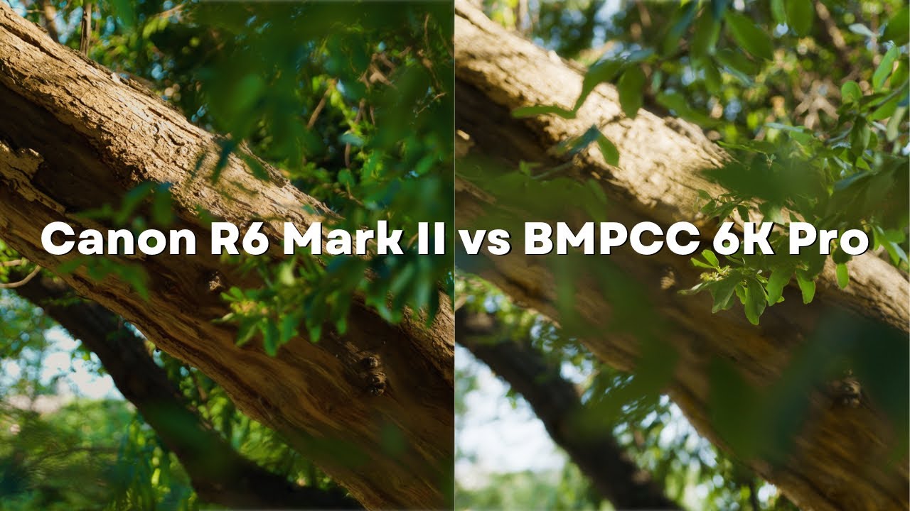 Canon&rsquo;s Clog3 vs Blackmagic&rsquo;s Pro res. 4K video Comparison | BMPCC6K PRO vs R6 MARK II | User review