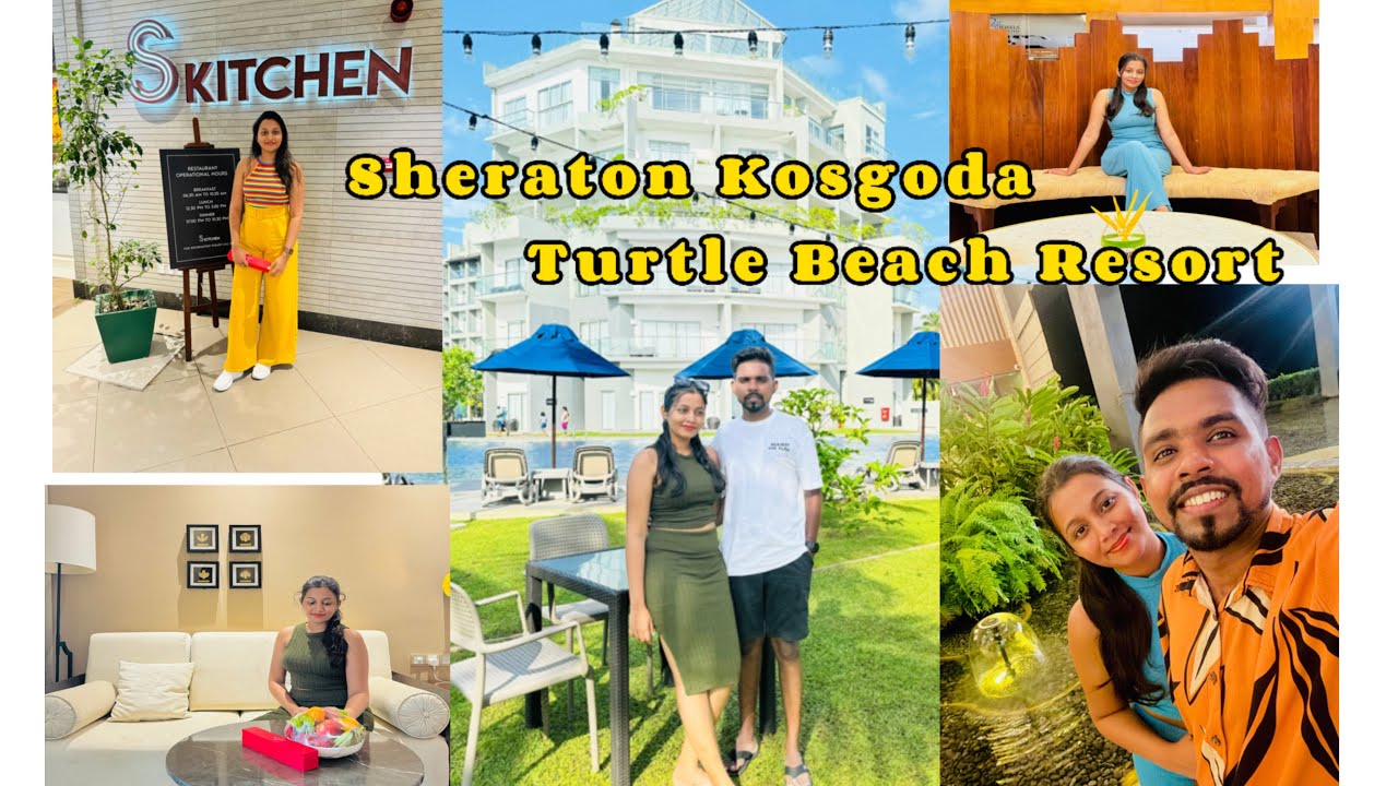 කොස්ගොඩ තරු පහේ පරාදීසය| Sheraton Kosgoda Turtle Beach Resort 🏝 #5starhotel #downsouth #hotelvlog