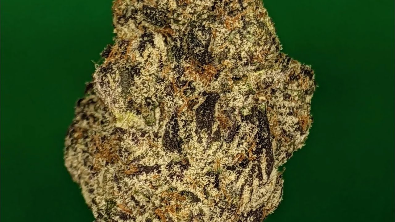 🔥🥭😎 Wildflower Hemp Company 😎🥭🔥2 carts & 2 Strains of high THCA indoor flower 🌼🌹🌼Use code: BRAYHAY