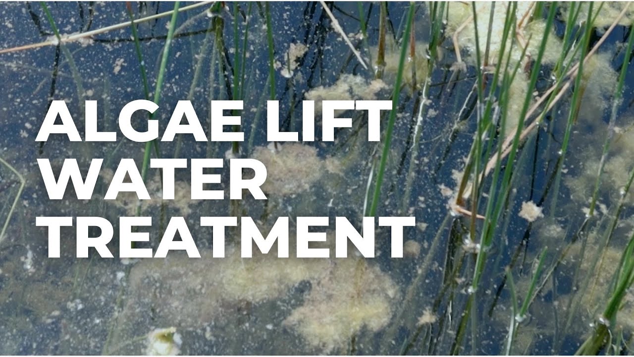 Algae Lift: An Environmentally Friendly Way to Tackle Algae