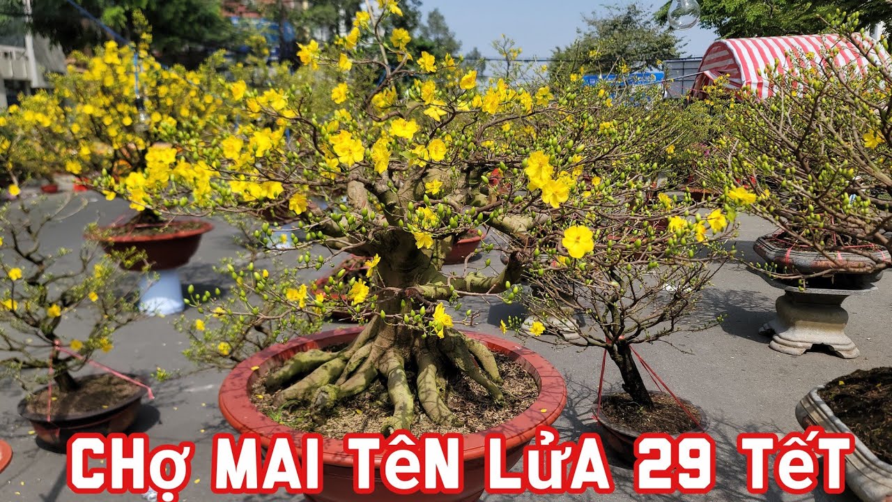 Chợ Mai Tên Lửa 29 Tết
