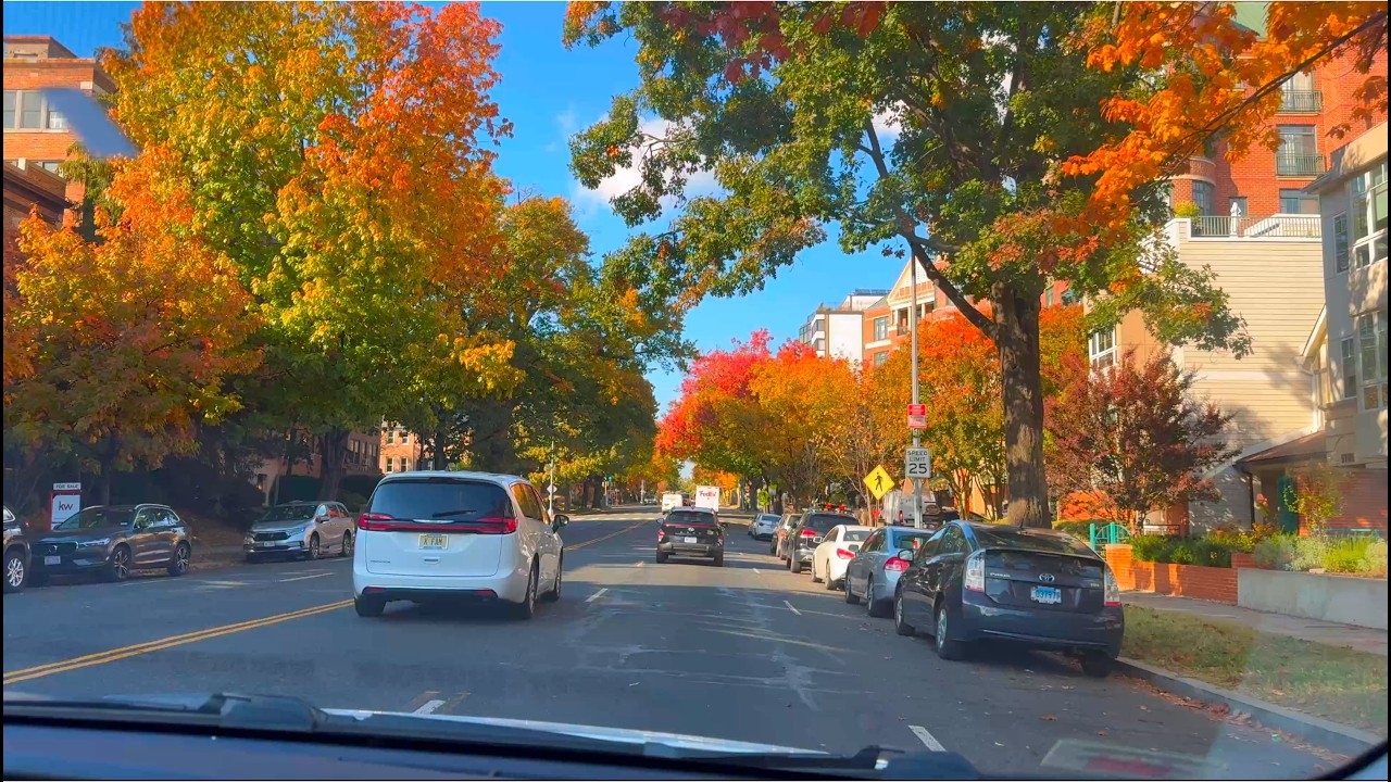 আমেরিকায় আমার সখের গার্ডেনের নতুন ডিজাইন আর আমার ছেলের স্বপ্নের একুরিয়াম কিনে দিলাম| daily Vlogs