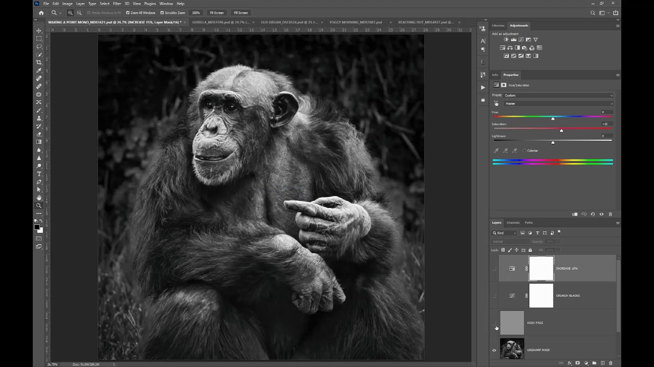 PERFECT MONOCHROME PRINTS USING THE EPSON ADVANCED B&W MODE