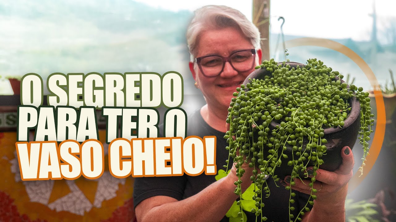067  | O segredo para ter o vaso cheio   Colar de pérolas 1