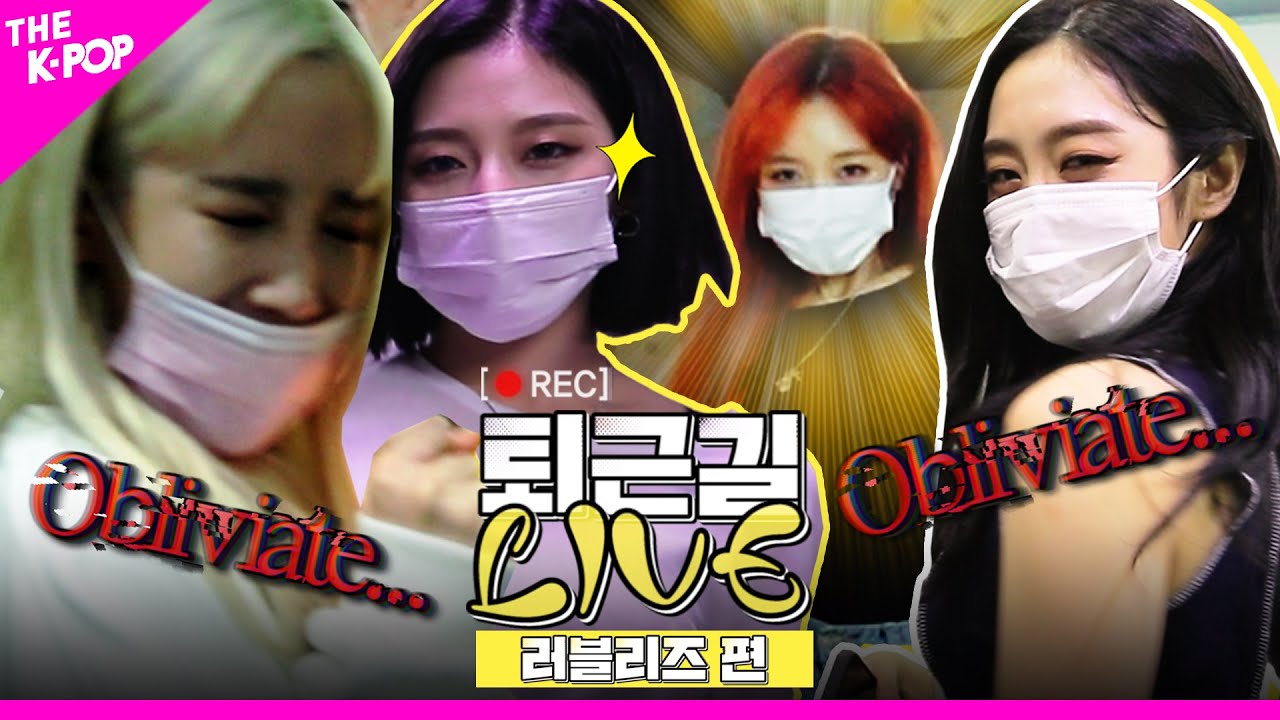 [퇴근길 LIVE] 🔮럽둥이들 오늘 하루 힘들었던 기억, 퇴근의 기쁨으로 Obliviate!🔮