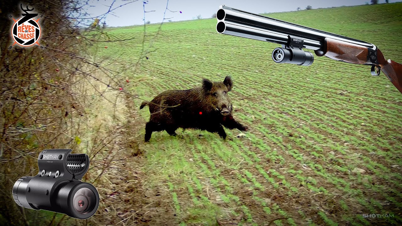 ShotKam, la meilleure caméra pour la chasse? Test complet !