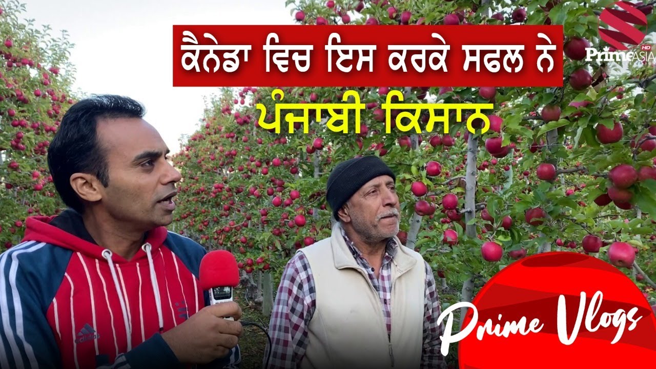 Prime Vlogs (8) || ਕੈਨੇਡਾ 'ਚ ਇਸ ਕਰਕੇ ਸਫਲ ਨੇ ਪੰਜਾਬੀ ਕਿਸਾਨ