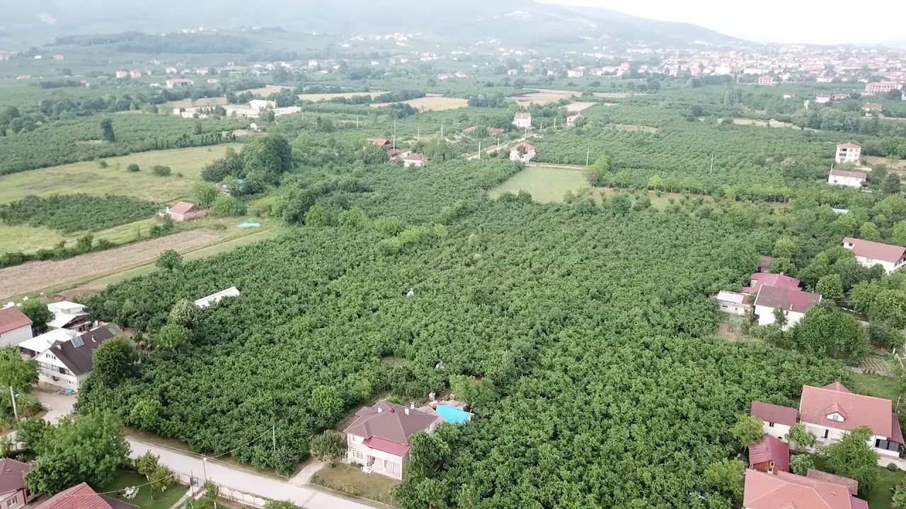Sakarya,Hendek,Büyükdere Mahallesi